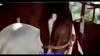 saut indian fuking video com