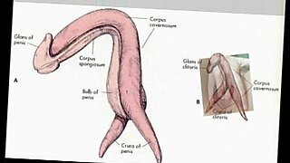 mbarara-squirting-fuck