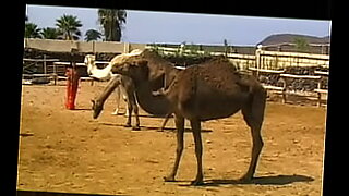 arabian-mistress-egypt