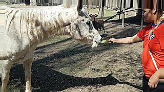 fiel-sex-with-animales-video-completo