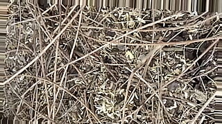 orgy-outdoor-teinks